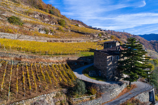 House and vineyard in Valtellina, province of Sondrio