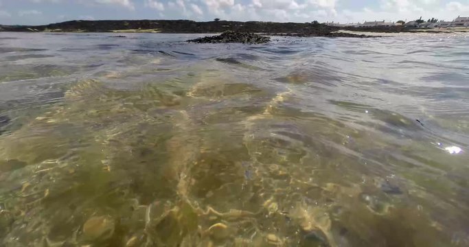 Algue submerged by the sea at High Tide in the summer