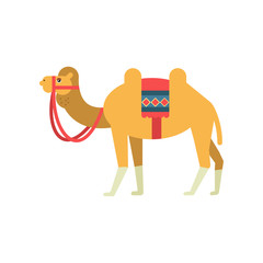 Camel whit saddle and cover on the back, two humped desert animal, symbol of traditional Egyptian culture vector Illustration