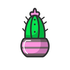 Indoor cactus with pink blossom in glossy pot