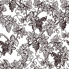 Lush grape bushes black and white seamless pattern