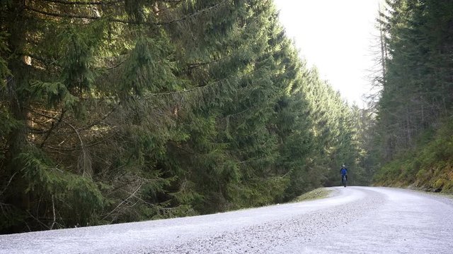 Man riding Electric Bike uphill on Forest Road
