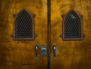 Solid brown dark wooden doors background detail