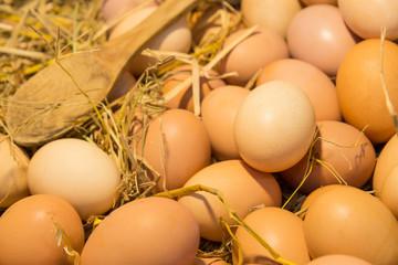 Eggs and Wooden spoon on dry straw, Dark and Warm tone