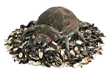 Large beetle (ashtray) on a pile of husks of sunflower seeds. Husk sunflower seeds. Sunflower close-up. Background. Texture