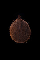 Coconut fruit over black
