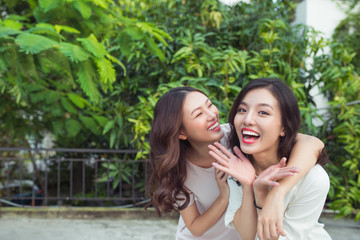 Asian sisters hugging and smiling in the park.