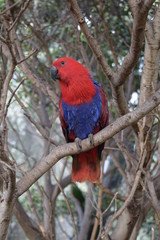 naturaleza