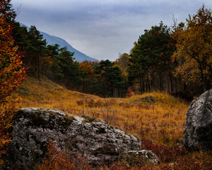 L'incanto d'una radura nel bosco autunnale