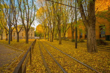 Fototapeta premium Autumn on the streets of Milan, Italy