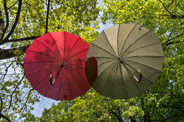 Umbrellas hanging on trees over a pedestrian zone