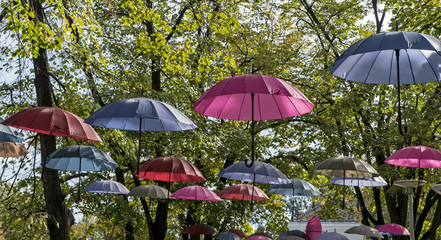 Umbrellas hanging on trees over a pedestrian zone