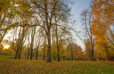 Autumn in Sempione Park in Milan, Italy.