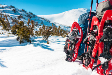 Backpack, snowshoes and trekking poles.