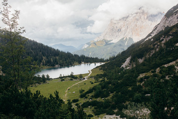 Obraz premium Nature in the summer Alps