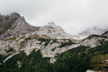 Nature in the summer Alps