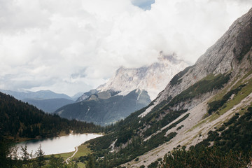 Fototapeta na wymiar Nature in the summer Alps
