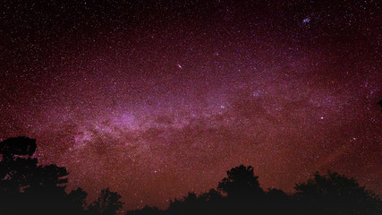 Sky at night with many star over forest silhouette, Beautiful clear sky at night and milky way,...
