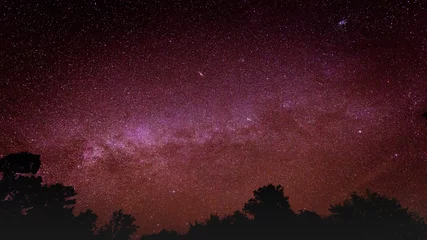 Deurstickers Hemel & 39 s nachts met veel sterren boven bossilhouet, mooie heldere hemel & 39 s nachts en melkweg, helder sterrenlicht met donkere lucht en melkweg © peangdao
