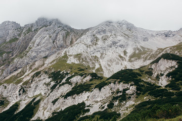 Obraz premium Nature in the summer Alps