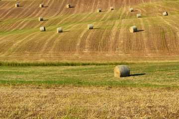 Beautiful countryside landscape near Siena in Tuscany, Italy. Round straw bales (hay balls) in harvested fields and blue sky.