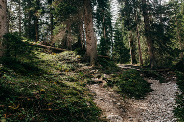 Landscapes in the Alps 