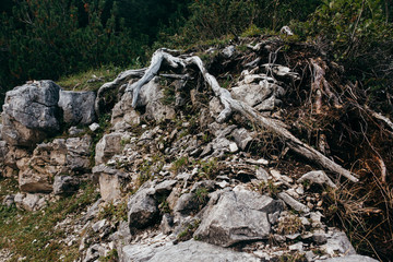 Landscapes in the Alps 