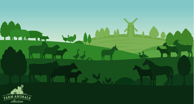 Vector rural landscape with farm animals