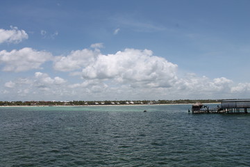 Obraz premium Beautiful and unique landscape of Dominican Republic