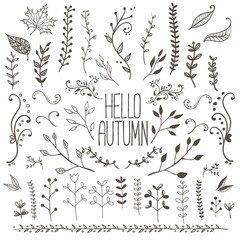 Hand Drawn Floral Autumn Design Elements