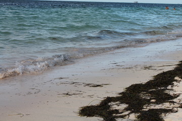 Beautiful and unique landscape of Dominican Republic