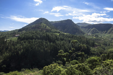 Sunrise of lush green jungle covered hills in Cotopata National Park near Coroico, Bolivia