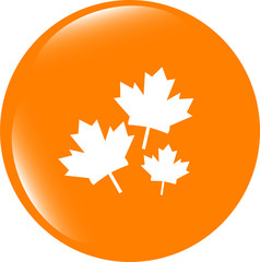 Maple leaf icon on web button . Flat sign isolated on white background