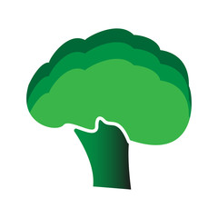 Broccoli icon .  Flat style