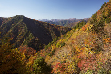 Fototapeta premium 紅葉風景 奈良