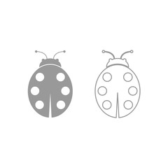 Ladybird icon. Grey set .