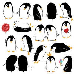 Fototapeta premium Set Of Isolated Funny Penguins.