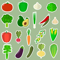 A set of fresh vegetables in a white stroke on a green background.