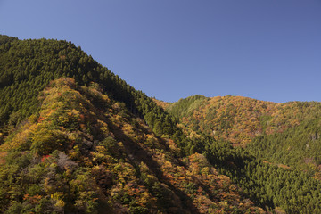 紅葉風景　奈良