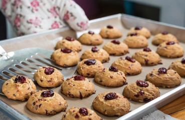 Cranberry cookies on sieve after take of oven , selective focus