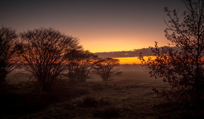 Field in the sunrise