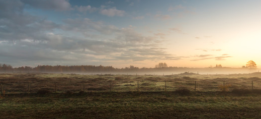 Obraz premium Field in the sunrise