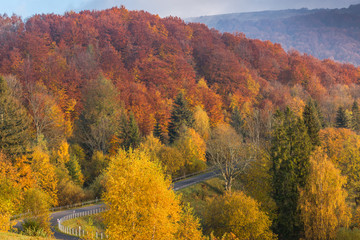 Obraz premium Road in wild Bieszczady mountains at fall