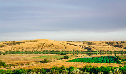 Fototapeta premium landscape field mountain expanse