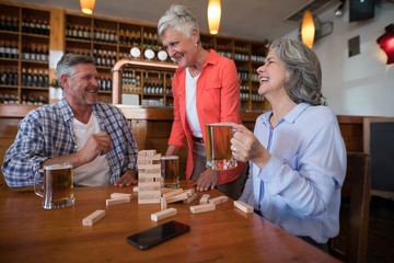 Friends interacting while having glass of beer in bar