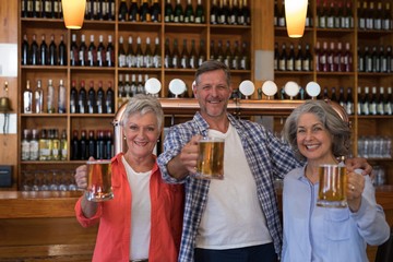 Smiling senior friends holding glass of beer in bar