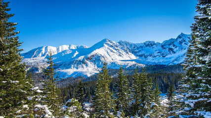 Fototapeta premium Snowy peaks in Tatra mountains winter, Poland