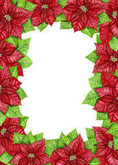 Frame made of poinsettia painted with watercolor. Christmas design with space for text.