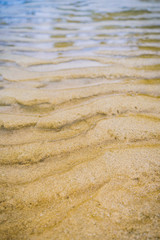 Sandy beach texture background.