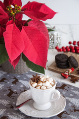 Cup of hot cocoa with marshmallow with Christmas decorations